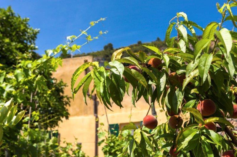 Agriturismo La Selva Hotel Финале Лигуре Екстериор снимка