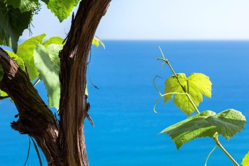 Agriturismo La Selva Hotel Финале Лигуре Екстериор снимка