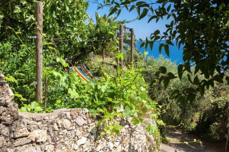 Agriturismo La Selva Hotel Финале Лигуре Екстериор снимка