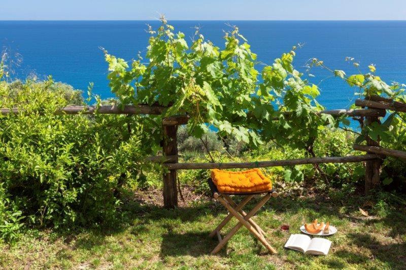 Agriturismo La Selva Hotel Финале Лигуре Екстериор снимка