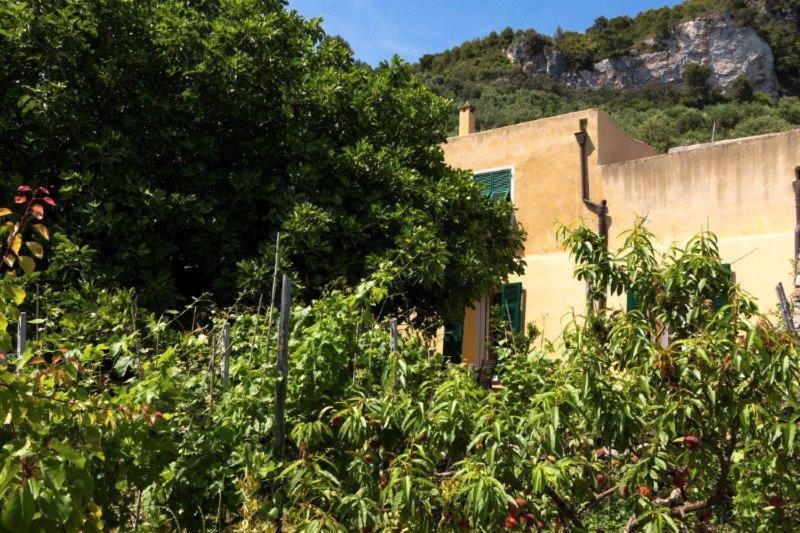 Agriturismo La Selva Hotel Финале Лигуре Екстериор снимка