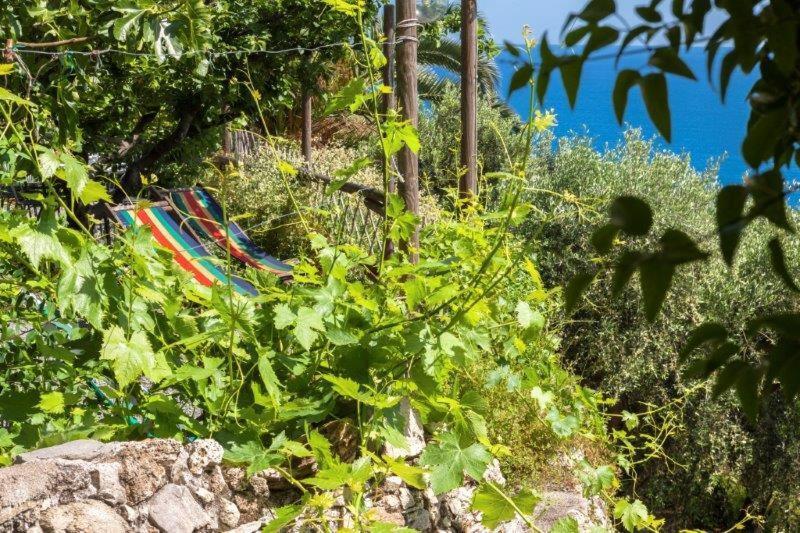 Agriturismo La Selva Hotel Финале Лигуре Екстериор снимка