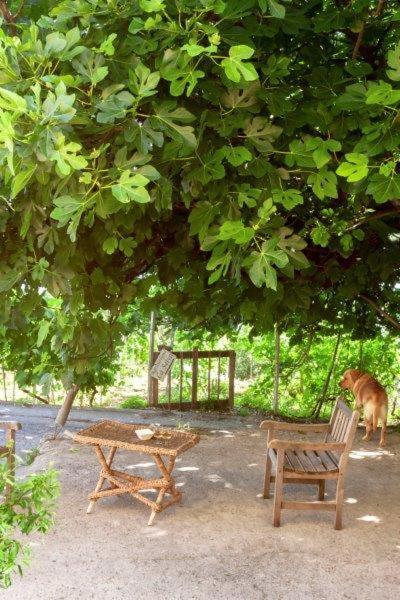 Agriturismo La Selva Hotel Финале Лигуре Екстериор снимка